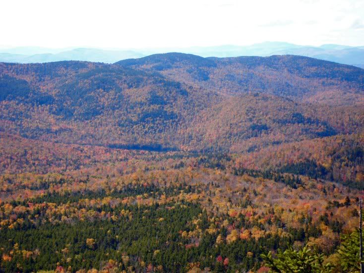 Sandwich Dome- outlooks 7