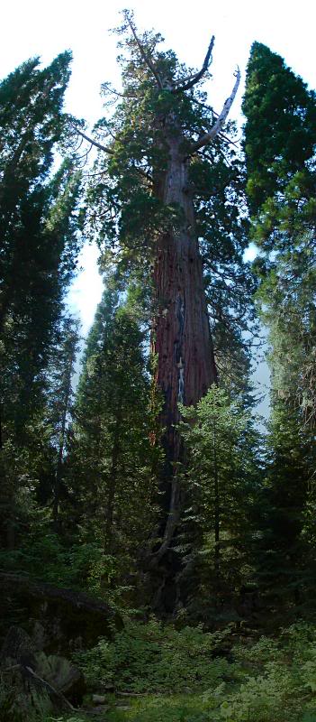 Sphinx Sphinx Sphinx