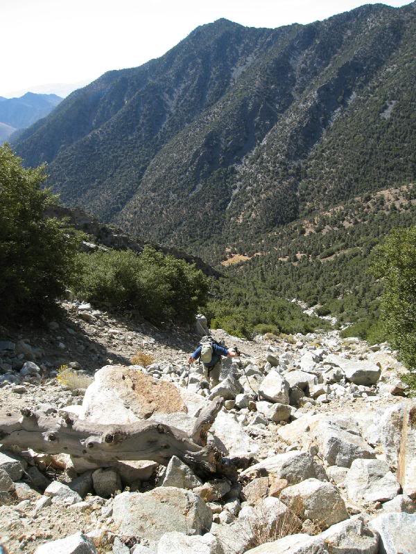 tomcat got behind me for a few minutes