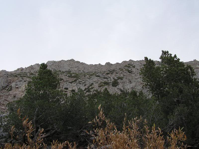 This looked like a good spot to leave the trail and hea...