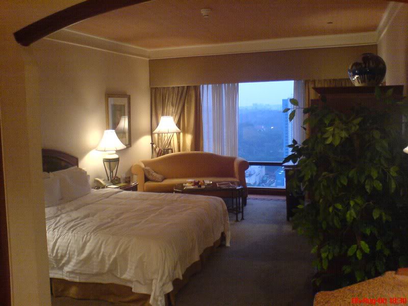 Executive room with kingbed.