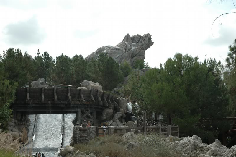 Grizzly River Rapids