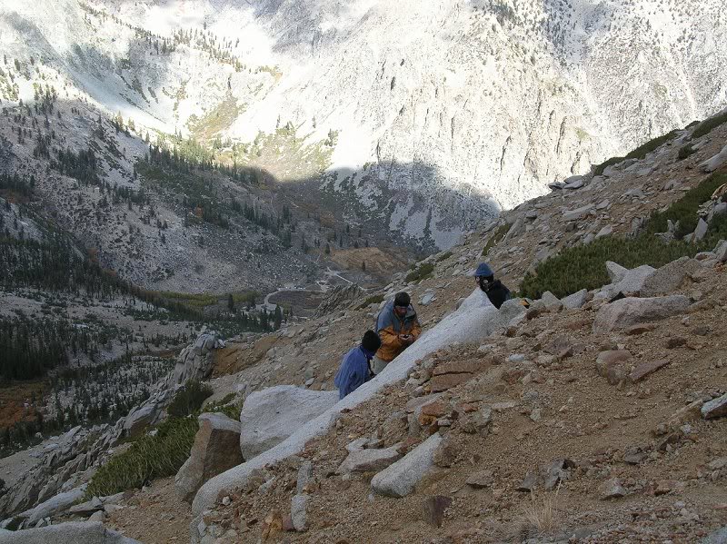 Snow Nymph, Tomcat, Ranboze (left to right)