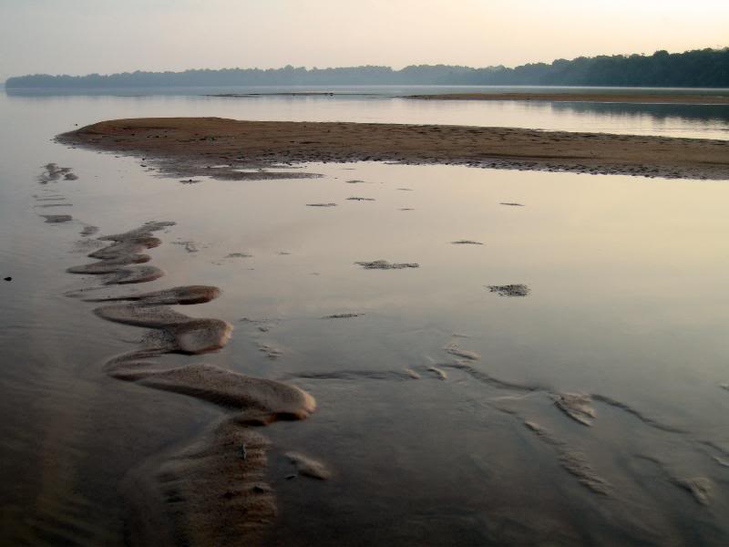 The playfields of the river fairies and the caymans