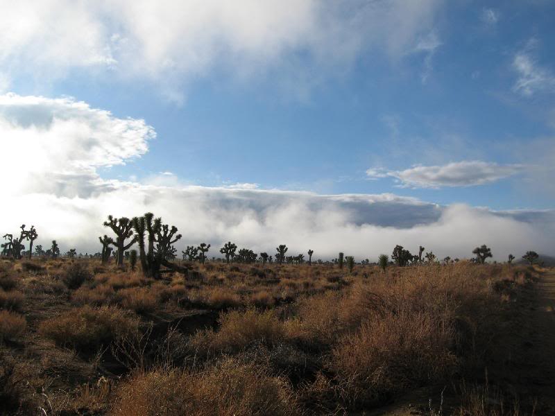 About 2 miles out, I found him. Views were awesome!