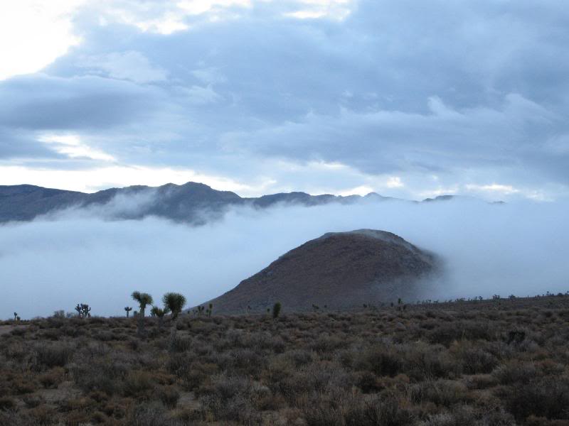Fog is thick on the main road