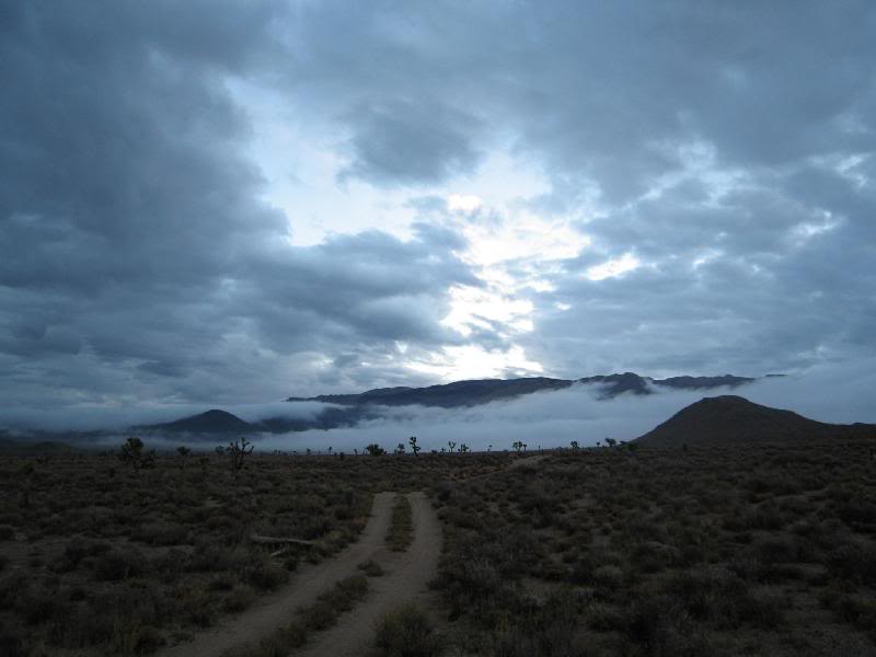 I wondered if Tomcat would find me driving thru that fo...