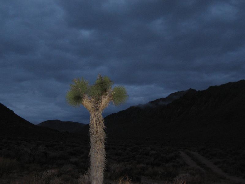 2006 (Oct 14) Boulder Pk (aka McCloud Pk) and Whitecap Mtn