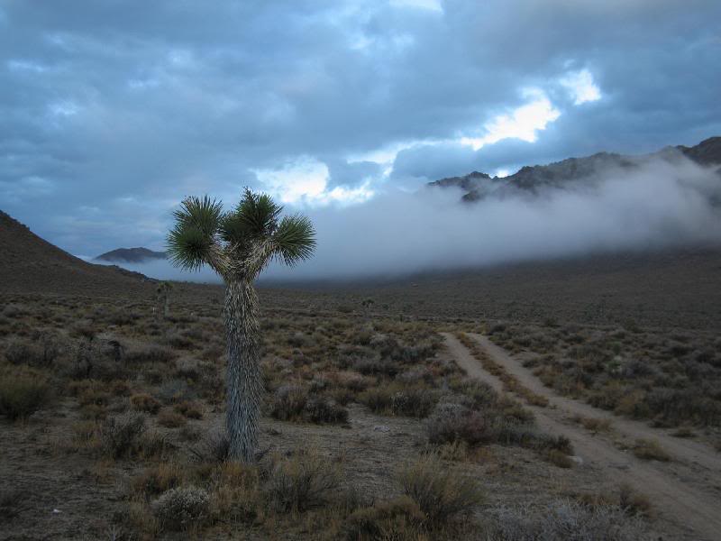 Scattered Bones Pk (L), Haiwee Ridge (AKA Jurassic Pk) ...