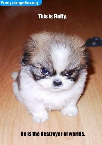 n39706023_30252 762_287