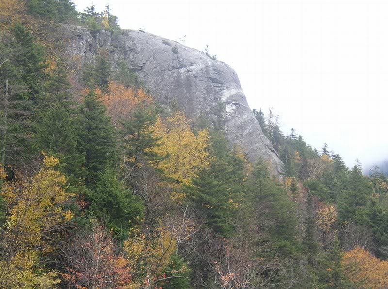 Elephant's Head in Crawford Notch State Park