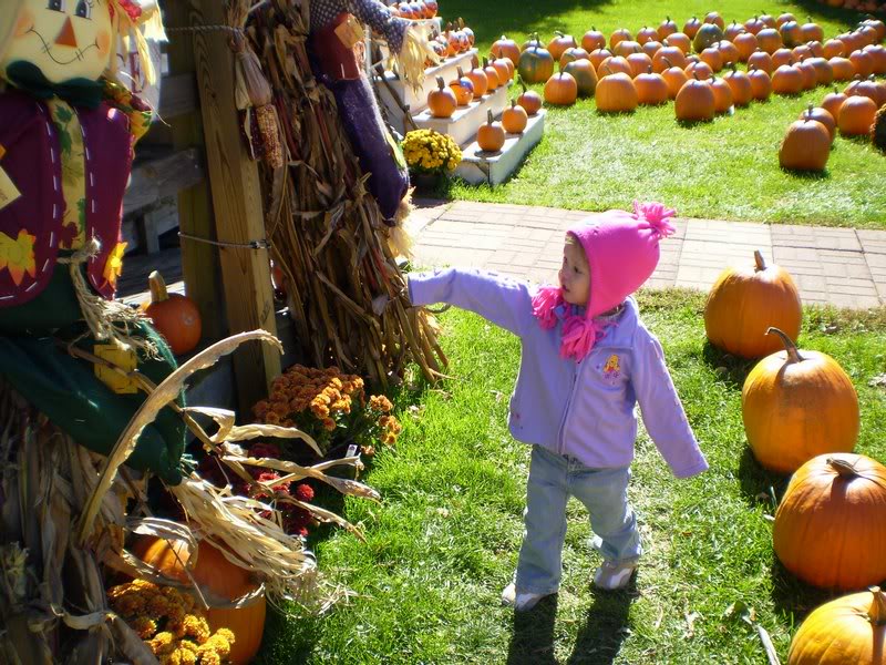 Check out the Scarecrow