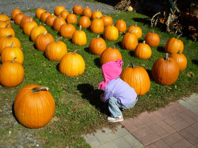 I still can't decide