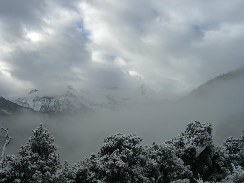 �����P�D��