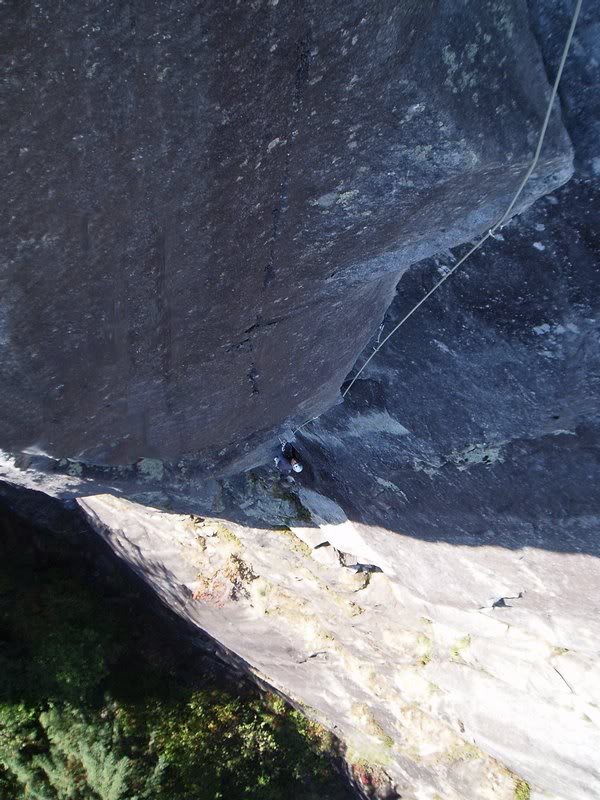 Davis-Holland P2a Tch