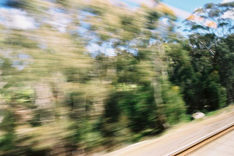 2006 10 19 008 Black Forrest