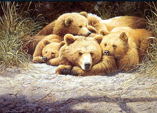 Bear - AMomentsRest1