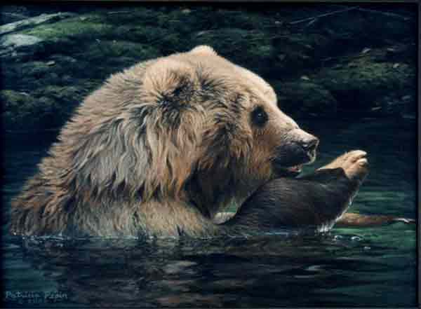 Bear - bain1