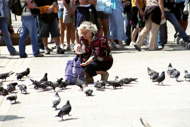 Feed the birds...