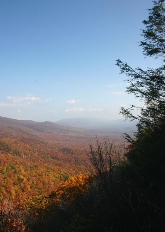 Chestnut Overlook - Portrait(small)