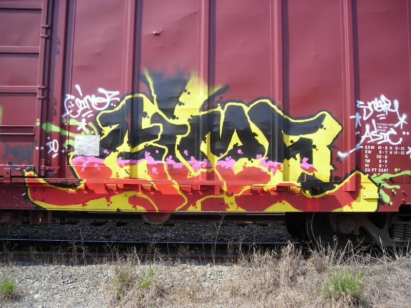 Fire Type Graffit on Boxcar
