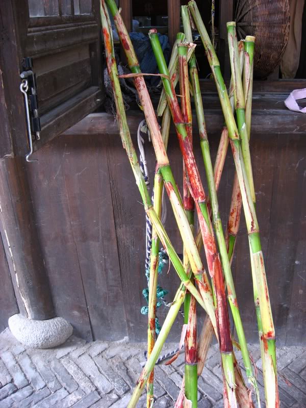 003061101006 Thousand Lantern Village, China