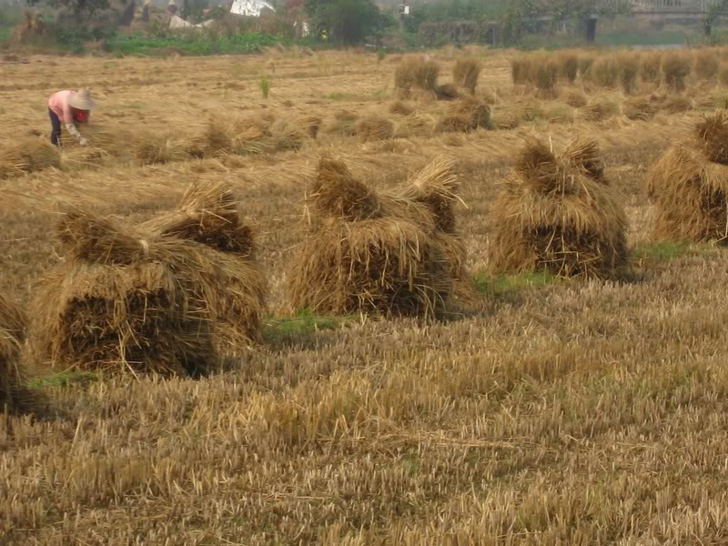 011061101030 near LuZhi, China