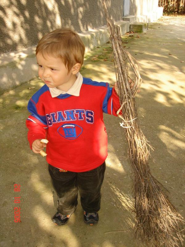 Pot sa matur frunzele?