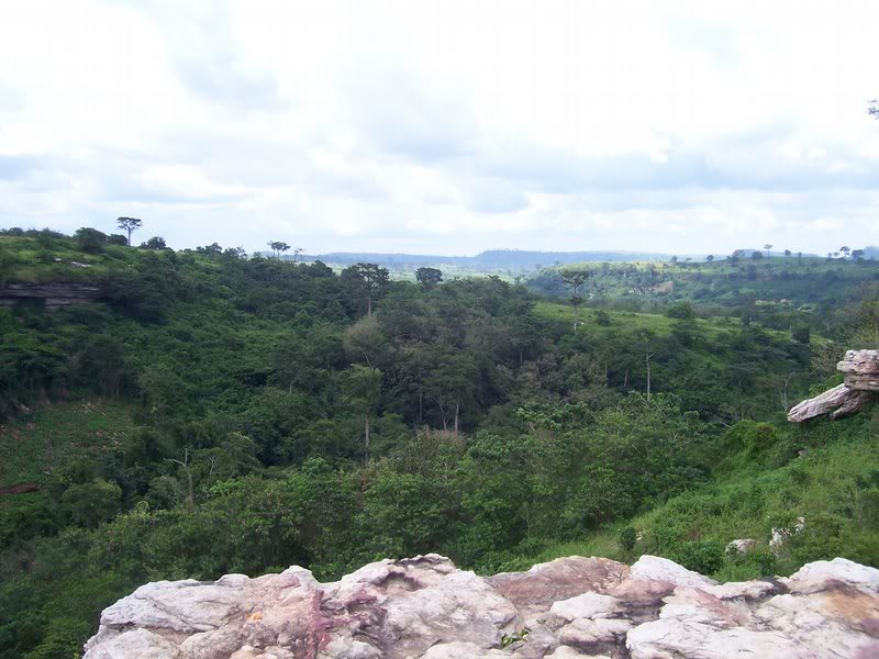 on top of the umbrella rock