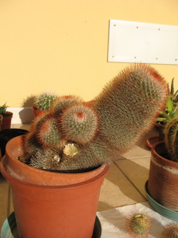 PRIMA DELL'OPERAZIONE