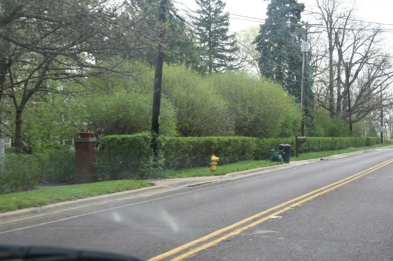 Grandview Drive, 041706 (8)