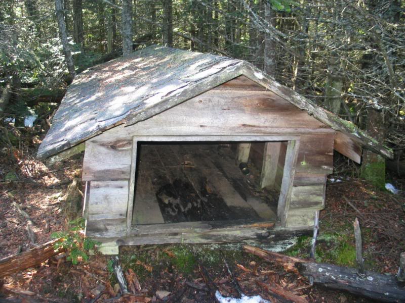 Another shelter on the trail