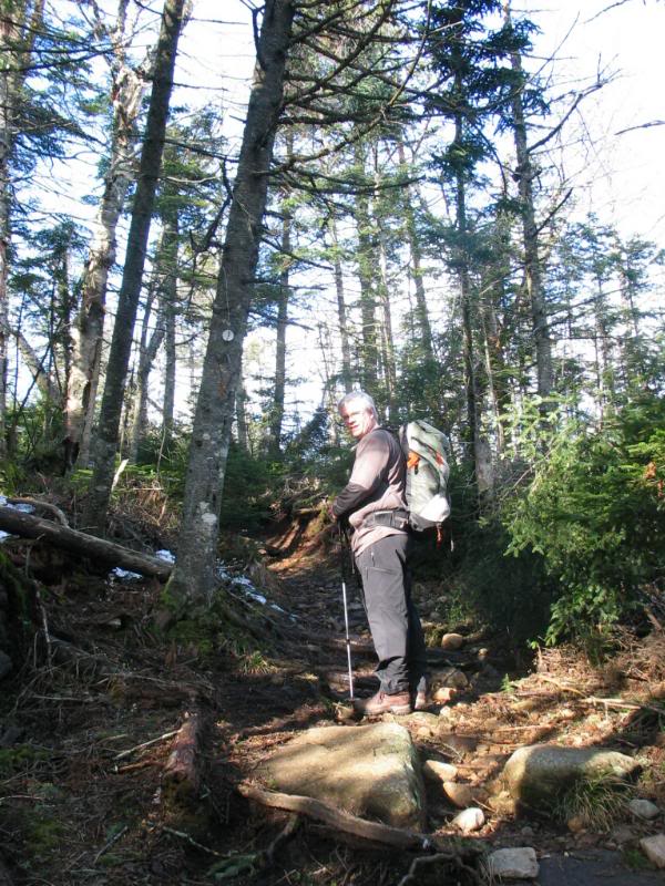 Guinness (not the beer)