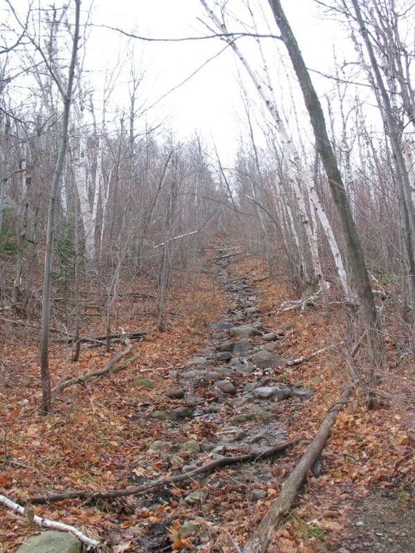 The unmarked trail ahead