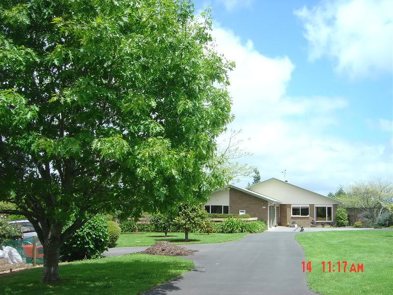 The drive leading to the house