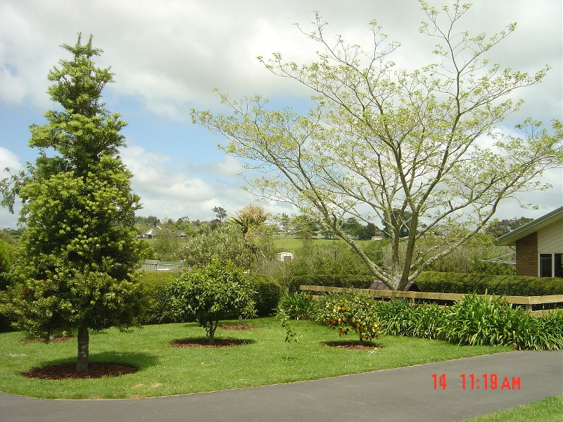 The original orchard