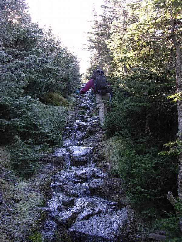 2. Mike P. going up Perch Path Brook.
