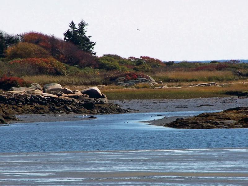 Tidal Flat& Goat Island, Cape Porpoise Maine