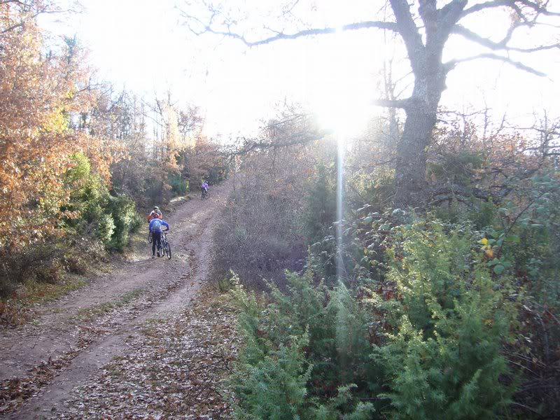 Subidon al cortafuegos