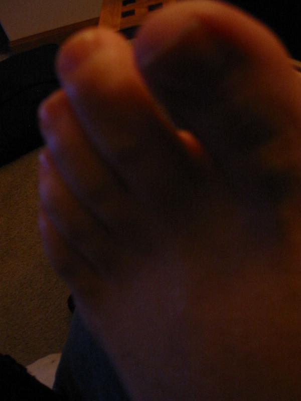 315427952_4a334 7ec62_o