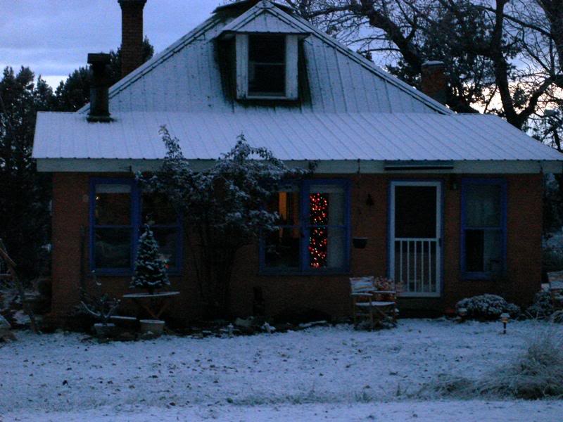 Christmas Trees at the Adobe
