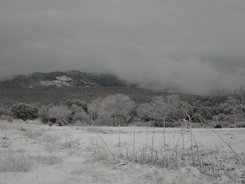 Christmas card of Mountain Snow
