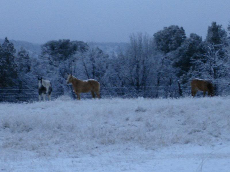 Is that snow on my back?