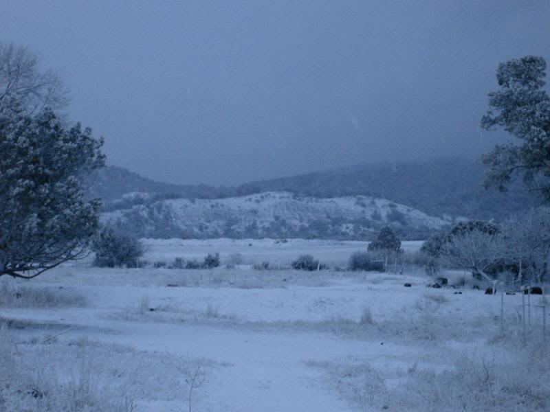 Mountainview in the Valley
South of Bayfield, CO