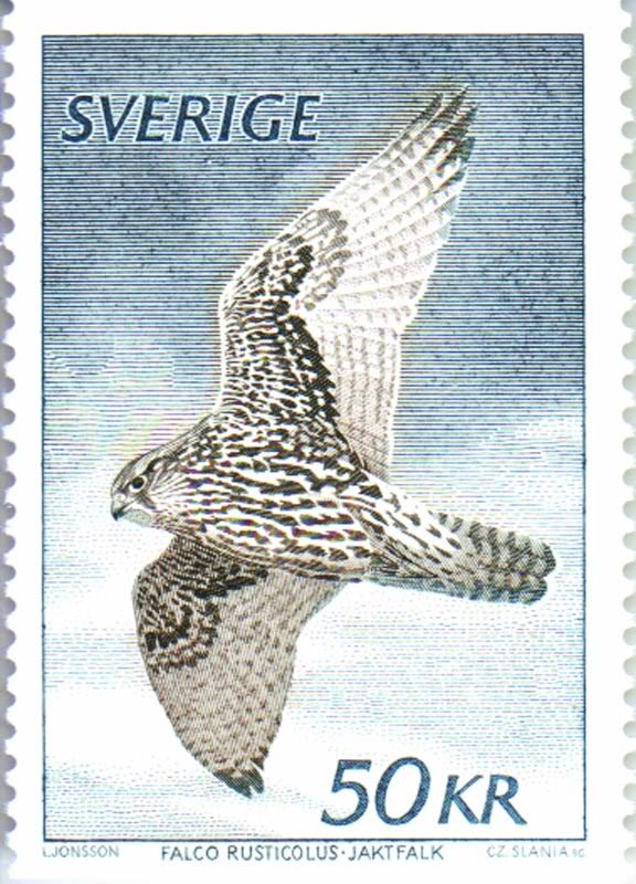 1981-02-26---Fa cit-1157