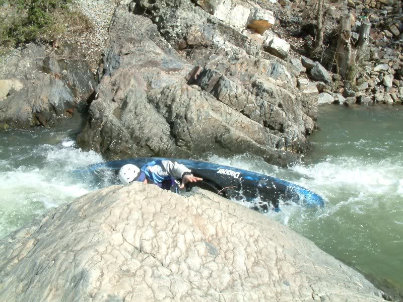 BOB STOUT SHOWING OFF, GULPHA CREEK