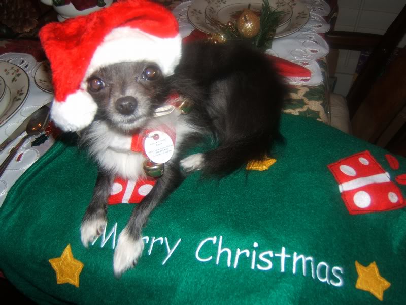 Katrina - Dec. 2006 019