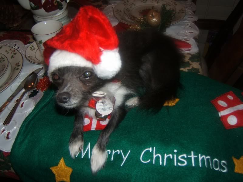 Katrina - Dec. 2006 020