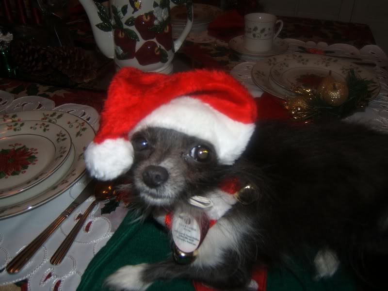 Katrina - Dec. 2006 021