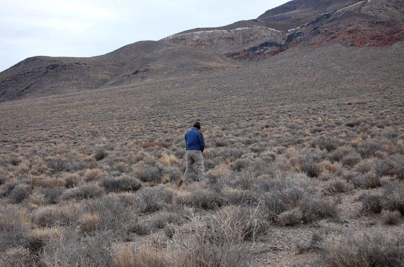 Tom- ummm- scanning the horizon!